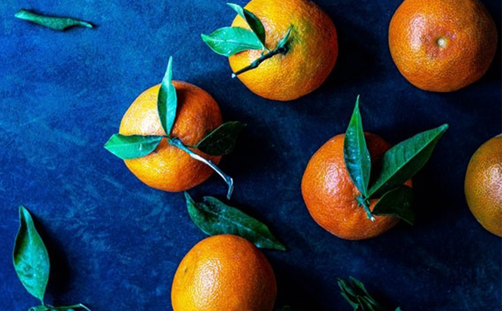 Clarion Dishes Up the Latest Food Trends