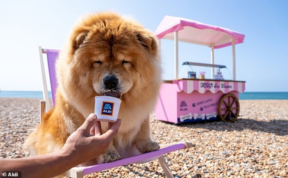 Clarion Unleashes its Latest 'Pawsitive Insights' Report: How Pet Care Brands Can Win Big with the Media 